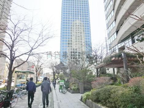 緑の多い歩道