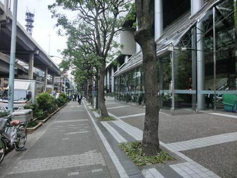 緑が多いですね