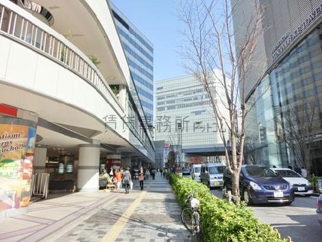 歩道にきれいな植栽が配置されています