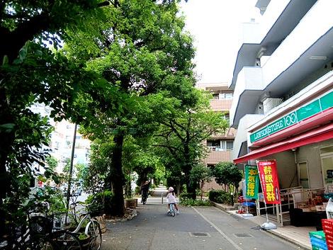 物件周辺