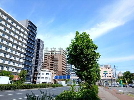 物件周辺