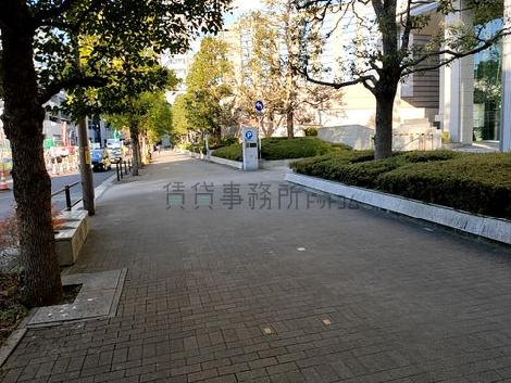 物件周辺