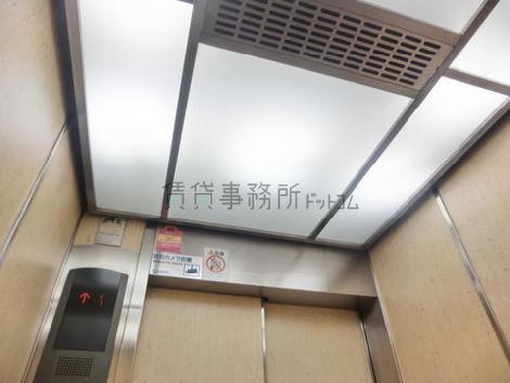 天井の照明