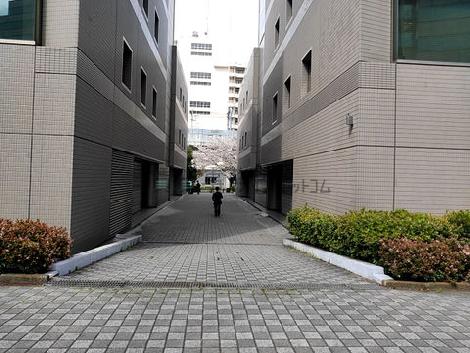 物件周辺
