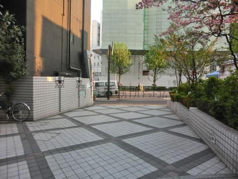 玄関から真っ正面の写真です
