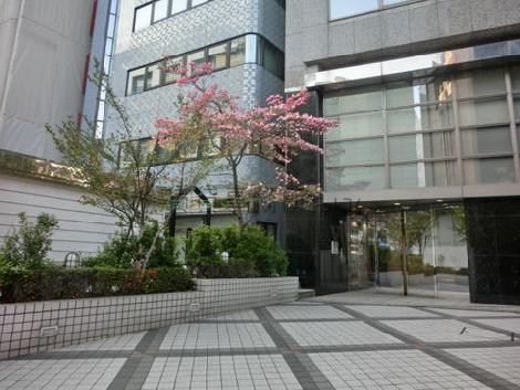 大きな木が植えられた玄関前