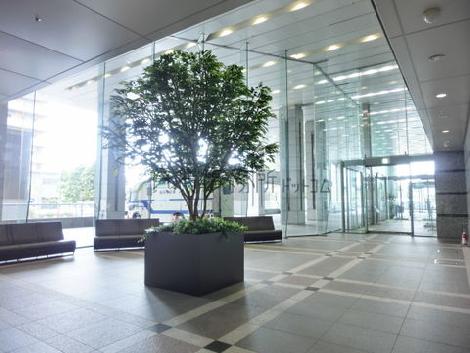 植木のある空間