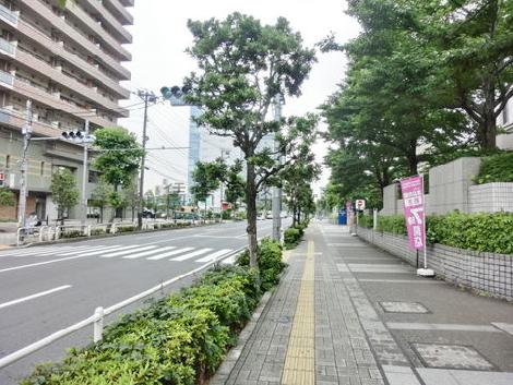 綺麗な街並み