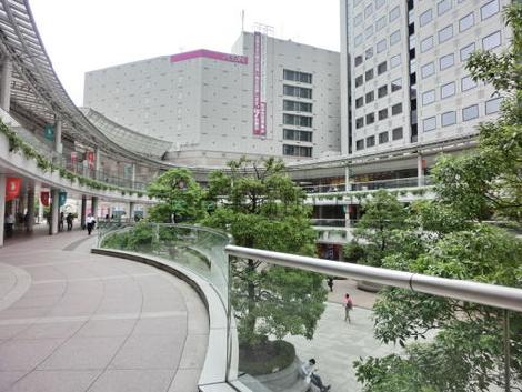 シーサイドフォレスト内からの景観