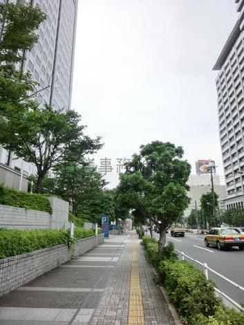 街路樹の多い通り