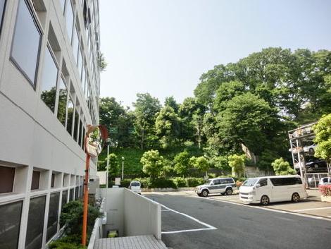 裏手は駐車場となっています