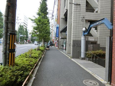 物件周辺