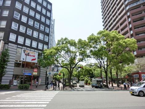 街路樹の多い前面通り