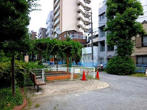 物件周辺