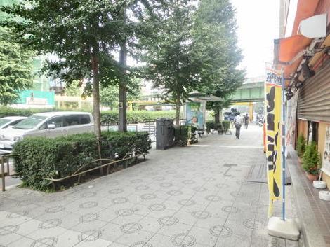 緑の生茂る歩道