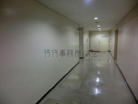 通用口です