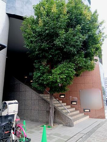 正面玄関