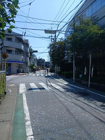 物件周辺