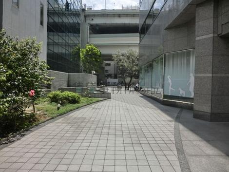 贅沢な敷地です