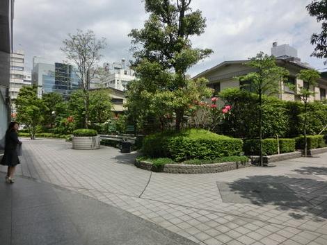 敷地内は緑が豊富です