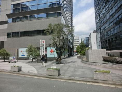 敷地が広いですね