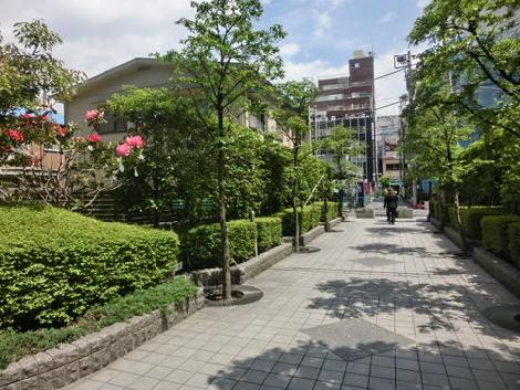 たくさんの緑を感じる事が出来ます