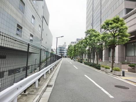 綺麗なラインの通り