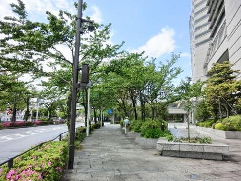 緑の多い歩道