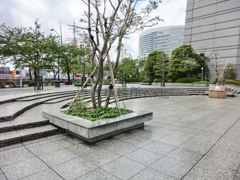 広い敷地内