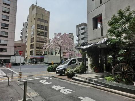 物件周辺
