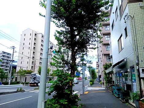 物件周辺