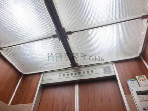 天井の照明