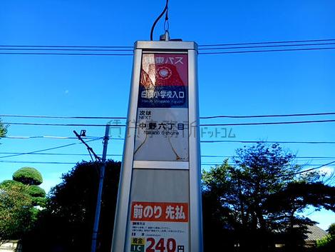 物件周辺