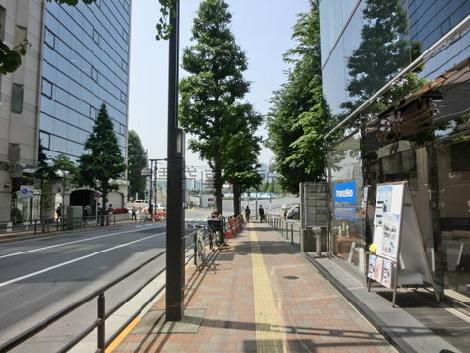 歩きやすい道です