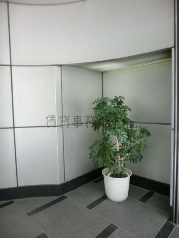 エントランス前の植栽
