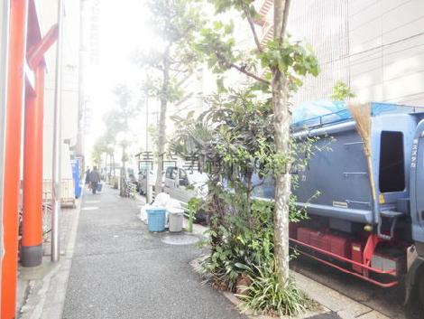 玄関前の街路樹が立ち並ぶ通り