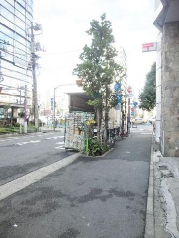 玄関口前の歩道です