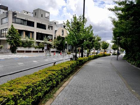 物件周辺