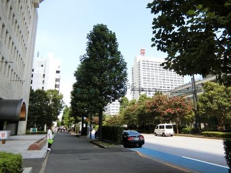 物件周辺