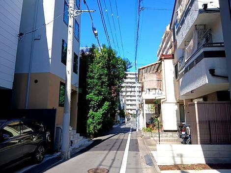 物件周辺