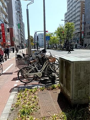 物件周辺