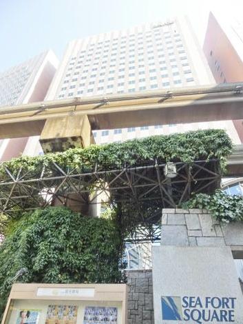 地上から見上げた様子