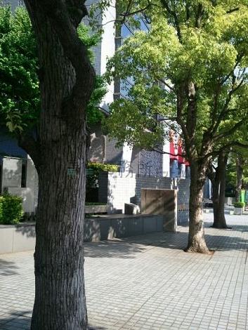 物件周辺