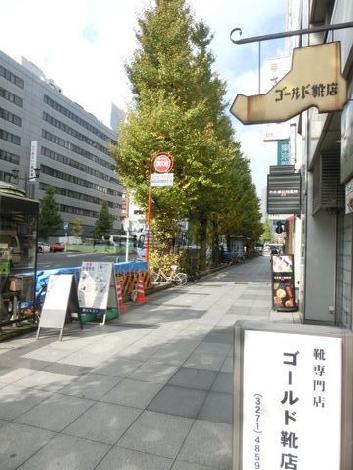 街路樹の立ち並ぶ通りです