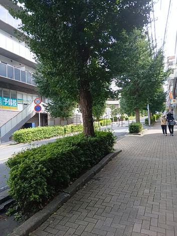 物件周辺