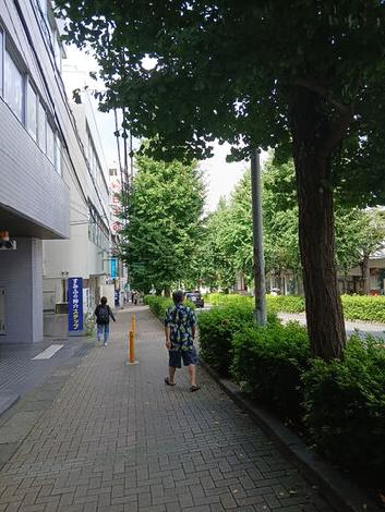 物件周辺