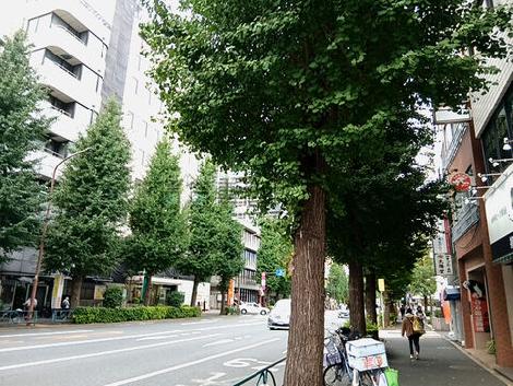 物件周辺