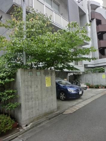 敷地内には樹は一本あります