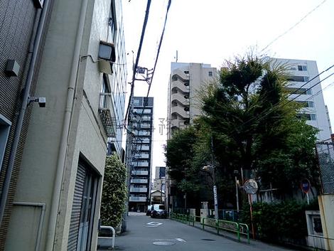 物件周辺