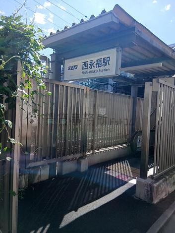 物件周辺